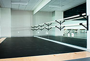 Harlequin Dance Floor