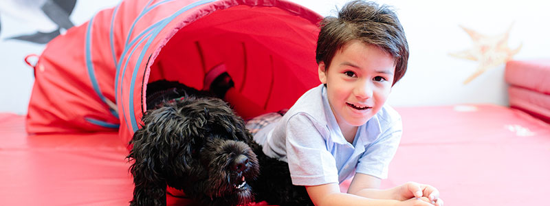 little boy playing with dog