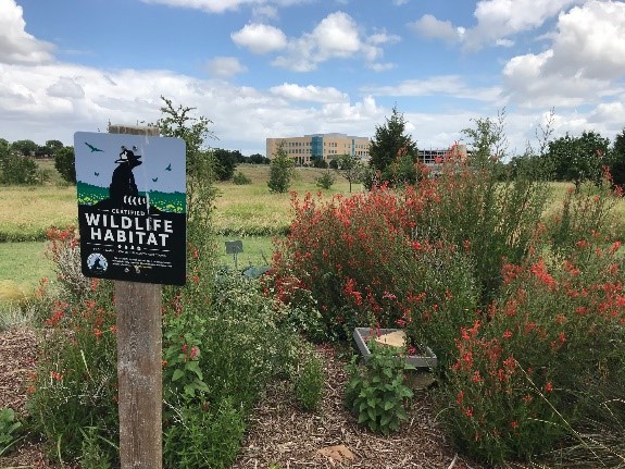 Plano Garden