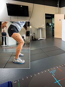 Treatment/rehabilitation, and performance optimization.